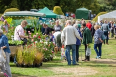 2018-09-15-Toby-Harvest-Festival-187-XL