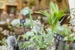 2018-09-15-Toby-Harvest-Festival-260-XL