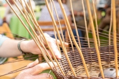 2018-09-15-Toby-Harvest-Festival-307-XL