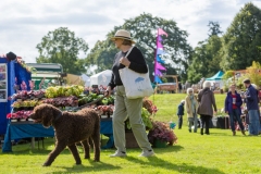 20170916-Toby-GHFest-Forde-Abbey-Ed-Ovenden-035
