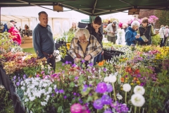 Powderham-Flower-Matt-Austin-106