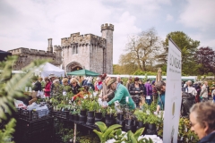 Powderham-Flower-Matt-Austin-111