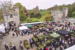 Powderham-Flower-Matt-Austin-127