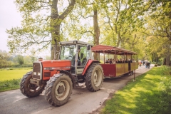 Powderham-Flower-Matt-Austin-233