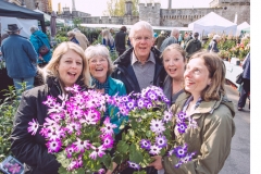 Powderham-Flower-Matt-Austin-57