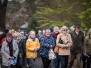 Powderham Castle 2016