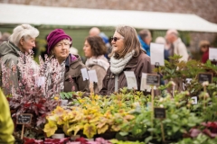 2017-04-28-Toby-Garden-Fest-Powderham-EdOvenden-053