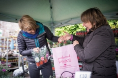2017-04-28-Toby-Garden-Fest-Powderham-EdOvenden-094