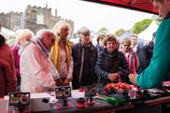 2017-04-28-Toby-Garden-Fest-Powderham-EdOvenden-155