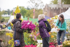 2017-04-28-Toby-Garden-Fest-Powderham-EdOvenden-241