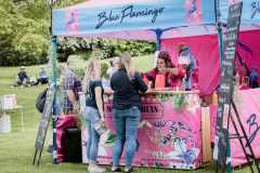Blue-flamingo-1