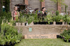 Garden-palnt-stall-2