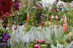 Garden-plants-9