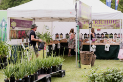 garden-palnt-stall-1