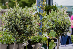 garden-stall-3