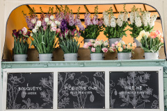 Amelias-flowers-1