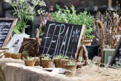 Feral-collective-2