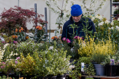The-plant-stalls-day-1-4