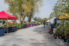 The-plant-stalls-day-1-6
