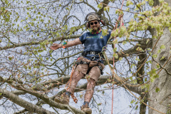 tree-climber-3