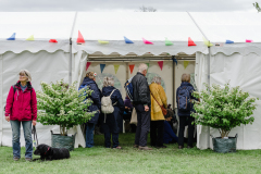 TGF-Day-1-festival-marquee-1