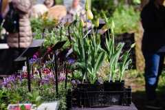 TGF-Day-1-plant-shopping-2