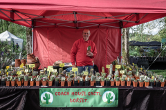 TGF-Day-2-coach-house-cacti-1