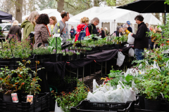 TGF-Day-2-plant-stalls-2