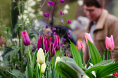 TGF-Day-2-plant-stalls-6