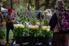 TGF-Plant-stall-7