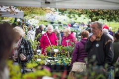 TobyGardenPowderham-Matt-Austin-105