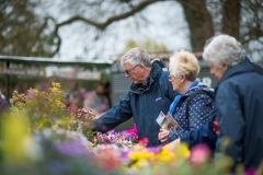TobyGardenPowderham-Matt-Austin-109