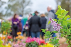 2018-04-28-Toby-Garden-fest-powderham-102