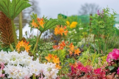2018-04-28-Toby-Garden-fest-powderham-113