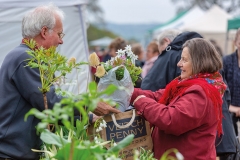 2018-04-28-Toby-Garden-fest-powderham-143