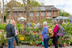 2019-05-03-2019-Toby-Garden-Fest-Powderham_Castle-074