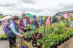 2019-05-03-2019-Toby-Garden-Fest-Powderham_Castle-077