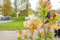 2019-05-03-2019-Toby-Garden-Fest-Powderham_Castle-082