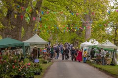 2019-05-03-2019-Toby-Garden-Fest-Powderham_Castle-123