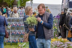 2019-05-03-2019-Toby-Garden-Fest-Powderham_Castle-137