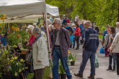 2019-05-03-2019-Toby-Garden-Fest-Powderham_Castle-163