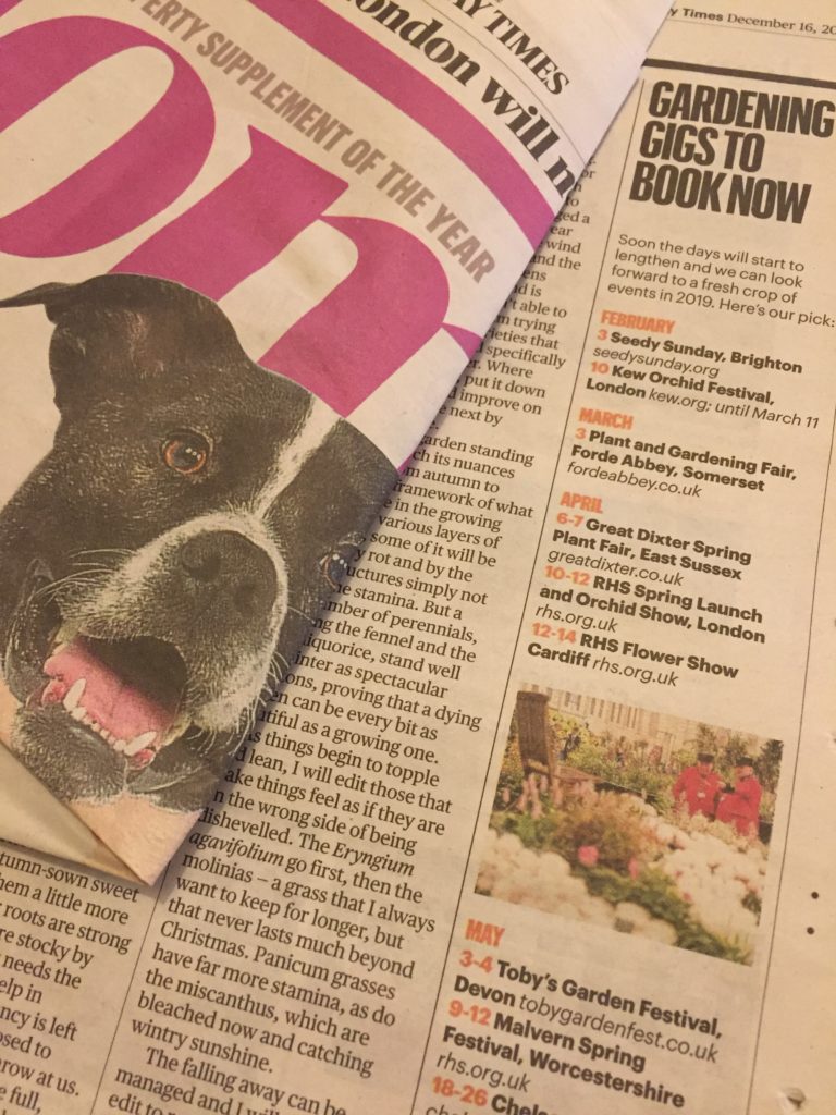 Toby's Garden Festival featured in the Sunday Times Home supplement on 16th December