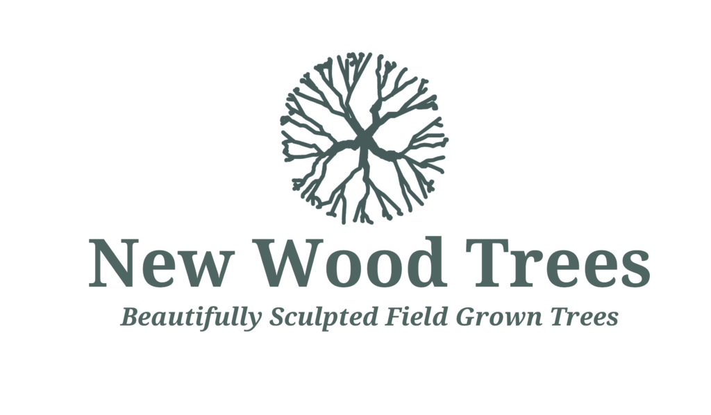 New Wood Trees logo