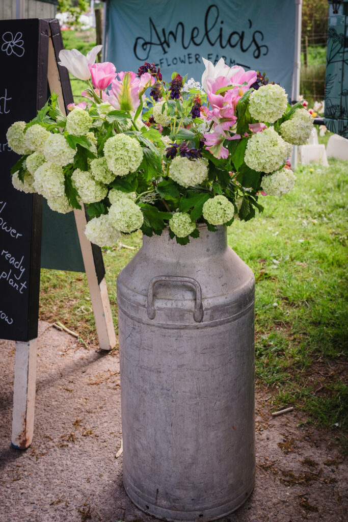 Festival Flowers